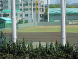 静かなタイガースデン
